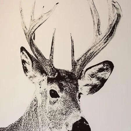 La De Tim Muhlbach-sur-Munster